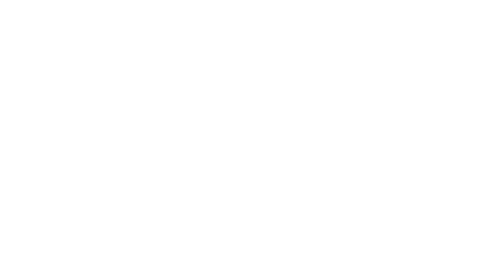 Dhruv logo - white